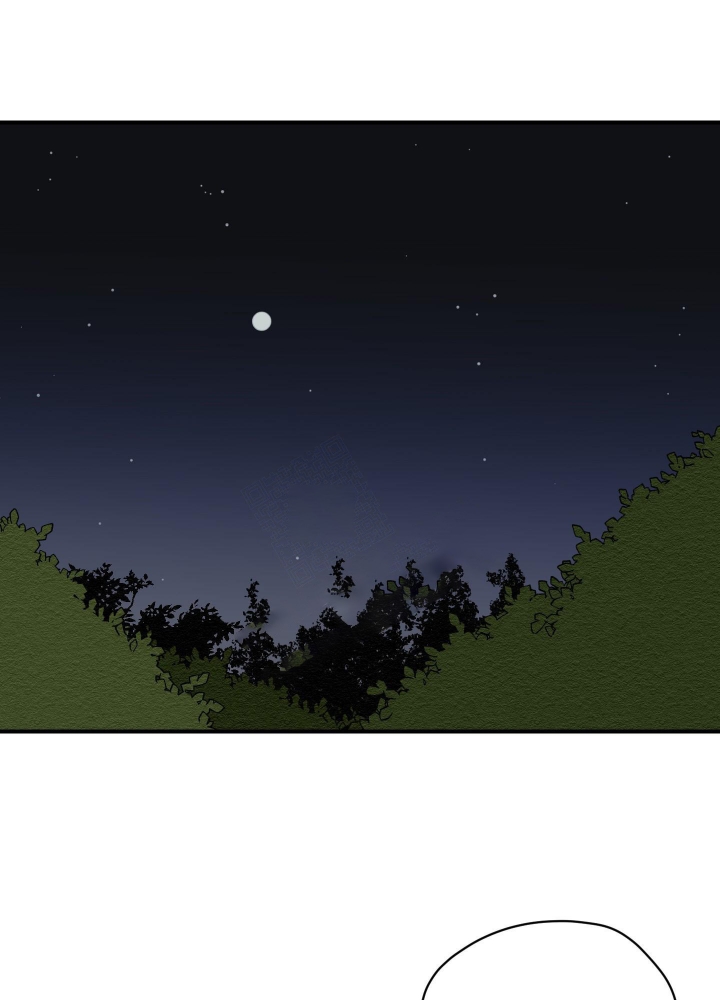 铺满金钟花的路的结局漫画,第5话1图