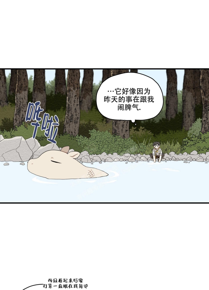 铺满金钟花的路漫画免费下拉式漫画,第6话4图