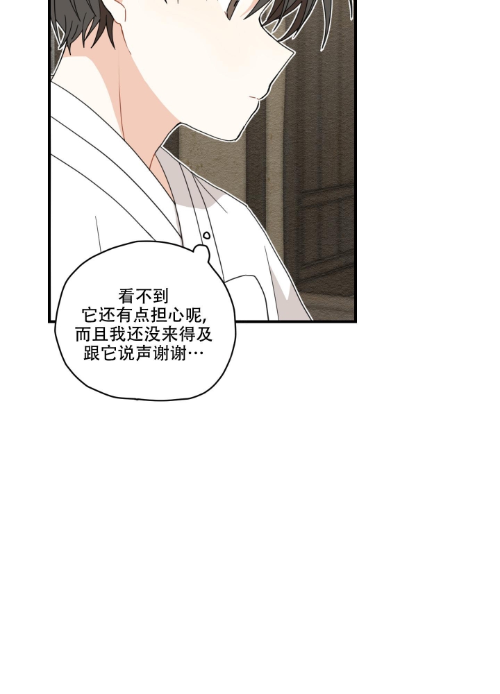 铺满金钟花的路完整版漫画,第8话5图