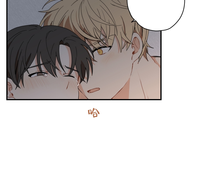 铺满金钟花的路漫画免费下拉式漫画,第1话4图