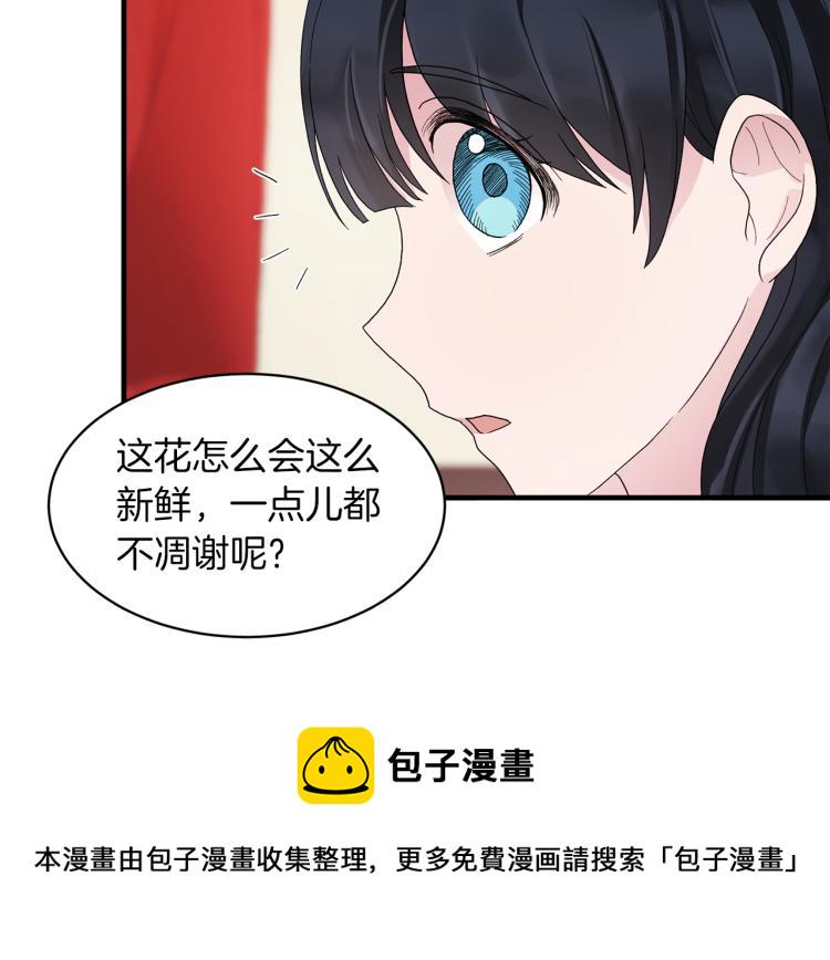 安吉拉的谎言漫画,第22话 生日宴会2图