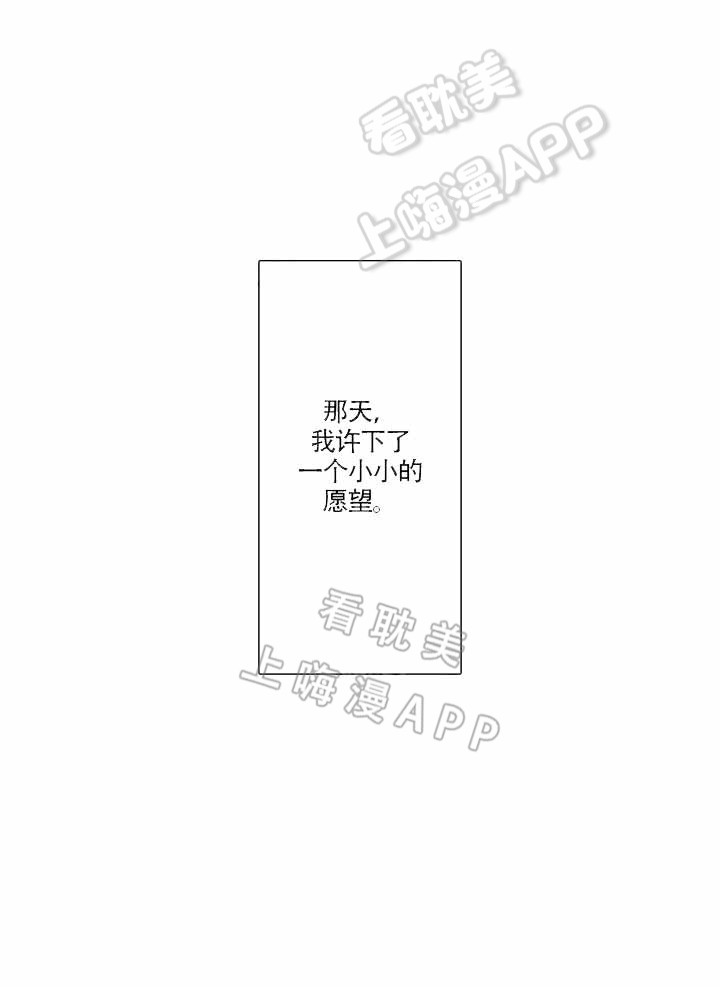 蜜月旅行定制一般多少钱一个人漫画,第8话5图