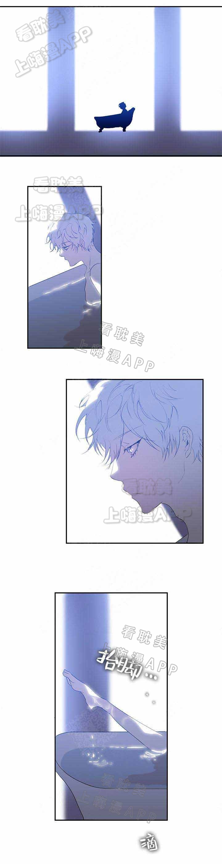 蜜月旅行定制一般多少钱一个人漫画,第8话3图