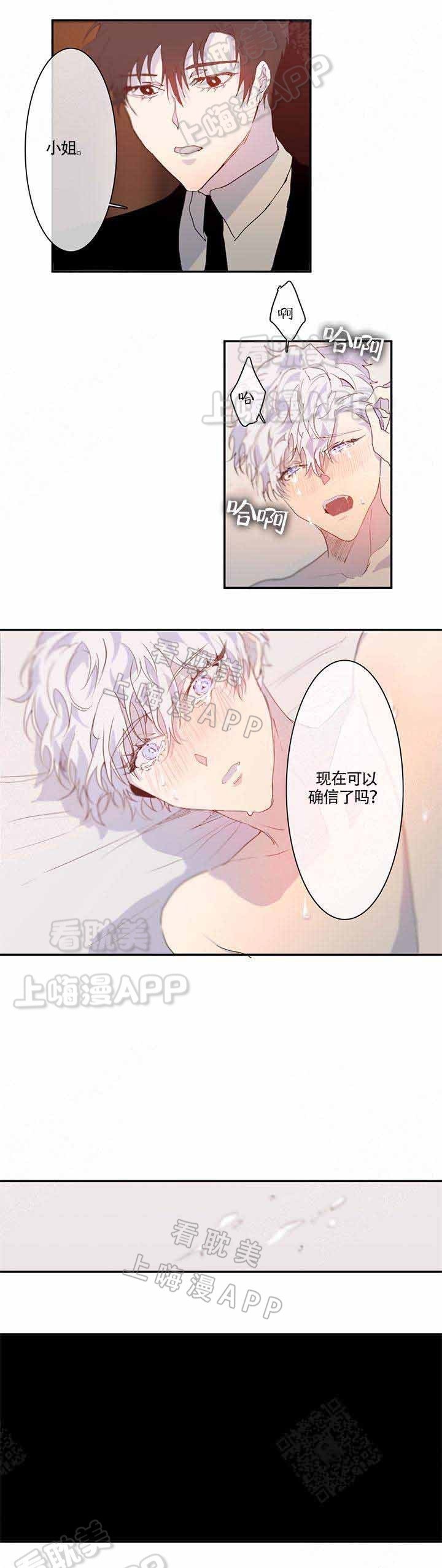 蜜月旅行定制一般多少钱一个人漫画,第8话2图