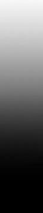 阴阳驱魔录~漫画,254图