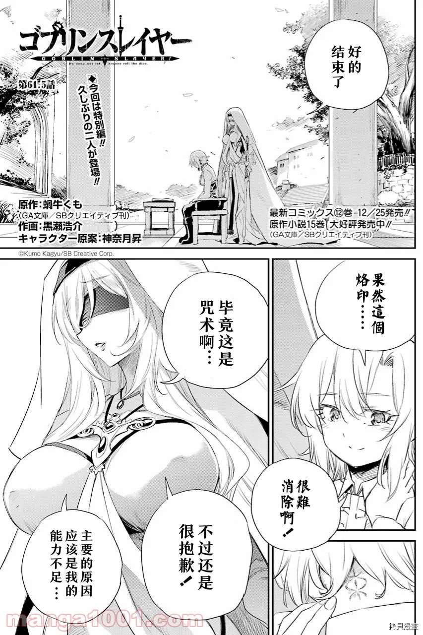 哥布林杀手的师傅是谁漫画,第64.5话试看版1图