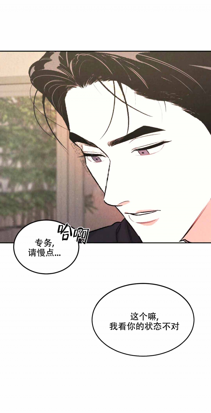 限量发行金币珍藏品漫画,第45话1图