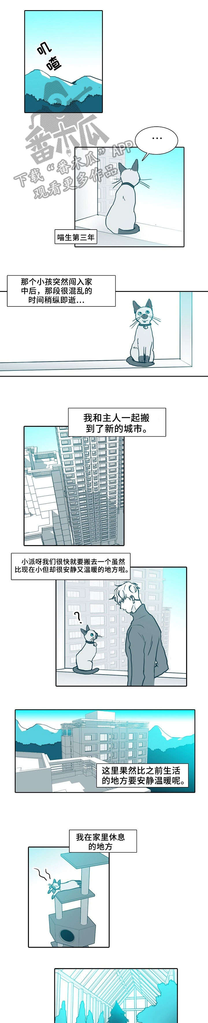 期限三十天漫画,第61章：做饭3图
