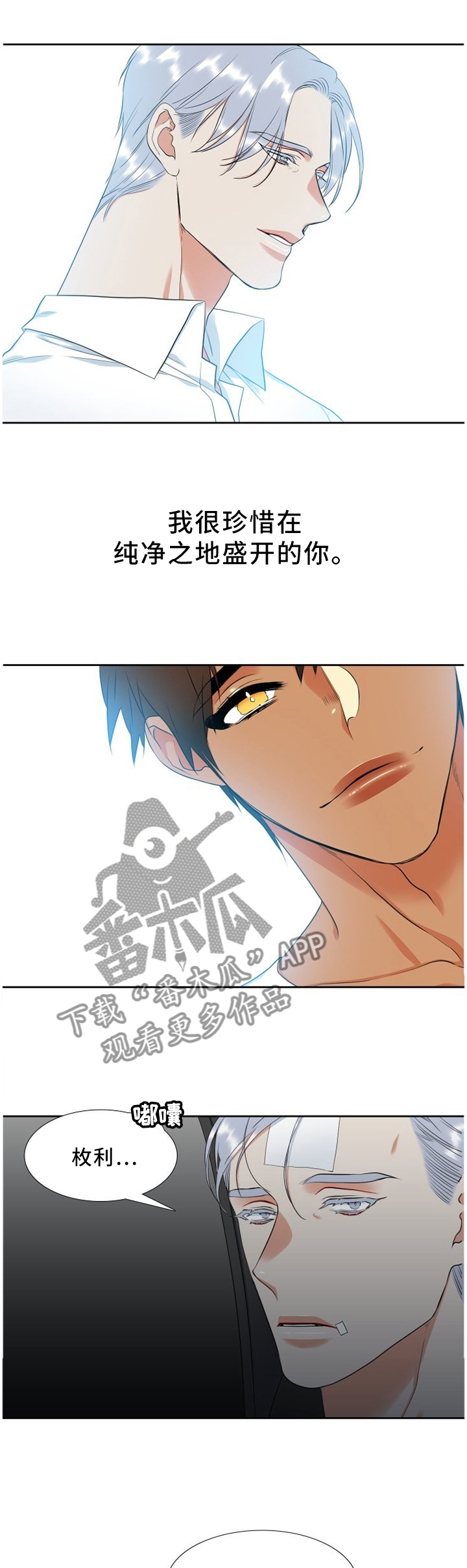 候鸟\漫画,第166章：人生教训1图