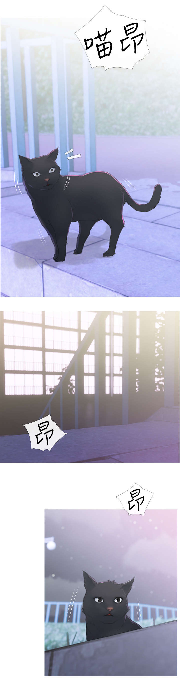 住户家被黔灵山猴子入侵漫画,第1章：猫咪2图