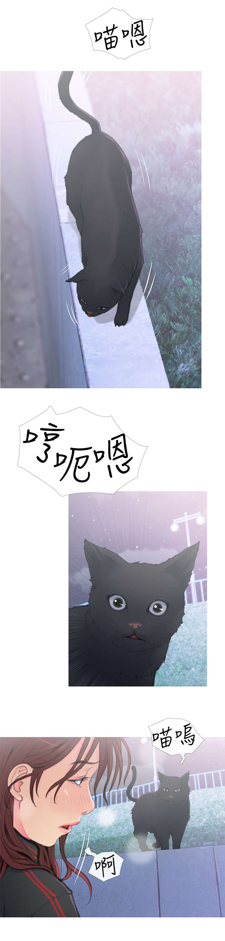 住户家被黔灵山猴子入侵漫画,第1章：猫咪3图