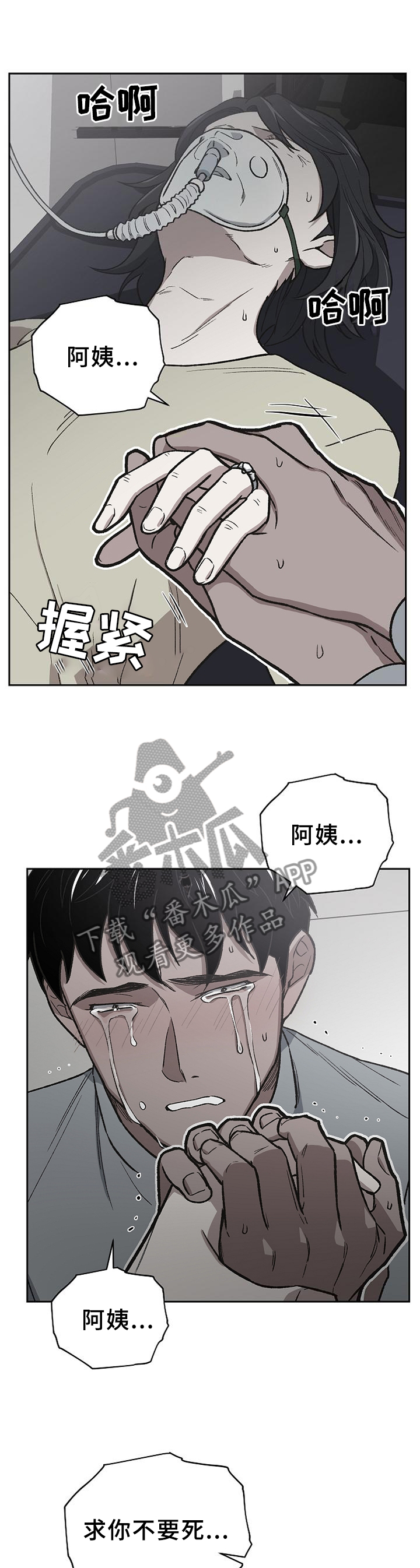祖灵之王打完还能打祖灵吗漫画,第50章：亲弟弟1图
