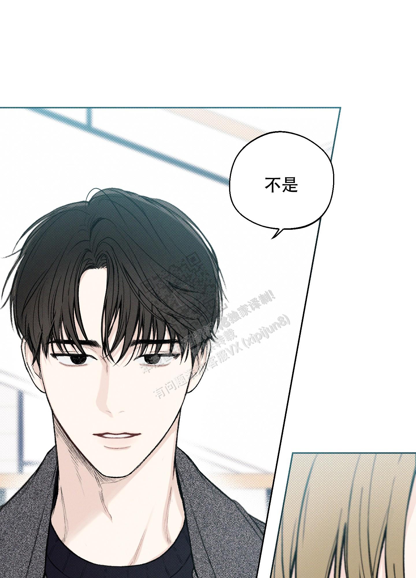十二月种什么蔬菜好漫画,第12话1图