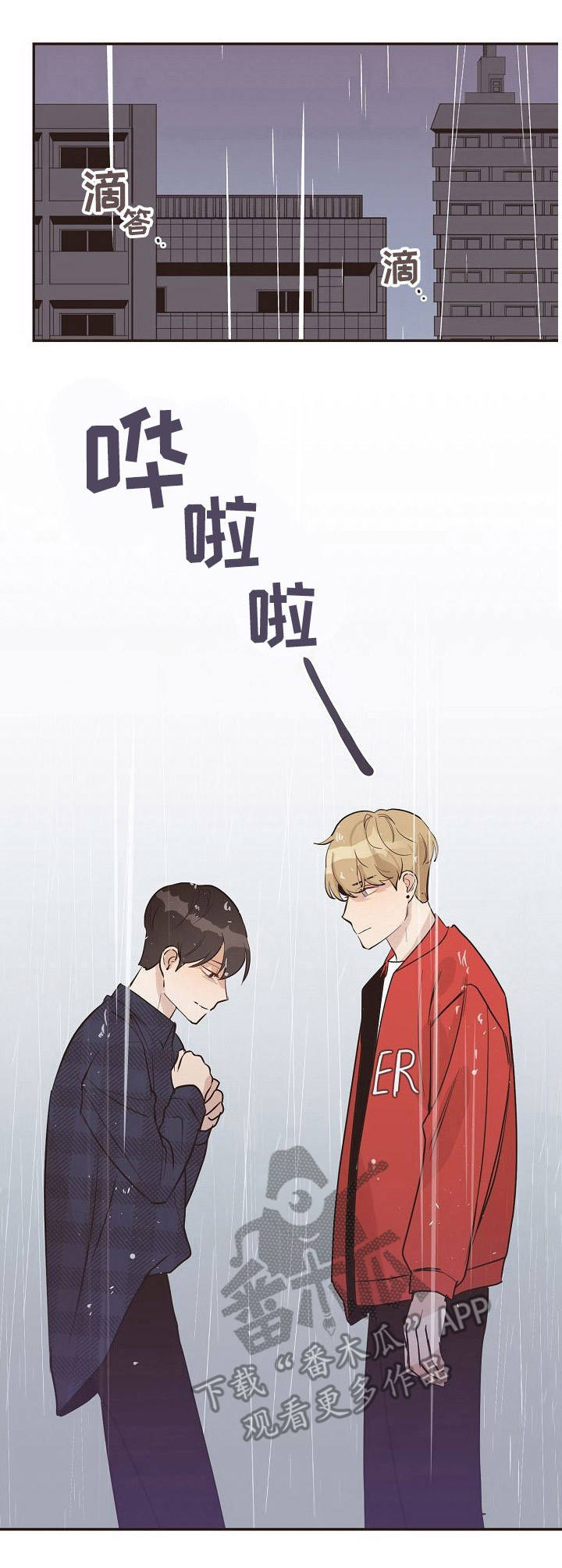 往日之花月季地栽漫画,第33章：雨水3图