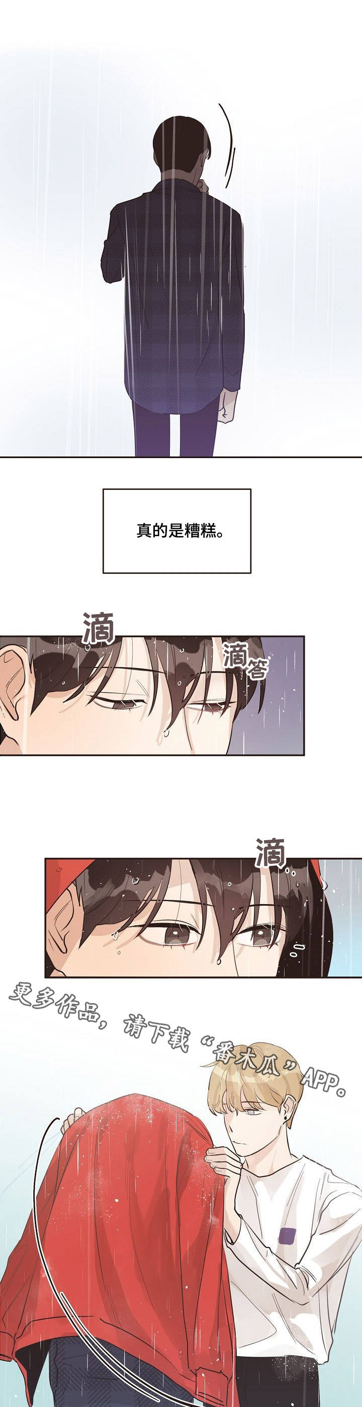 往日之花月季地栽漫画,第33章：雨水5图
