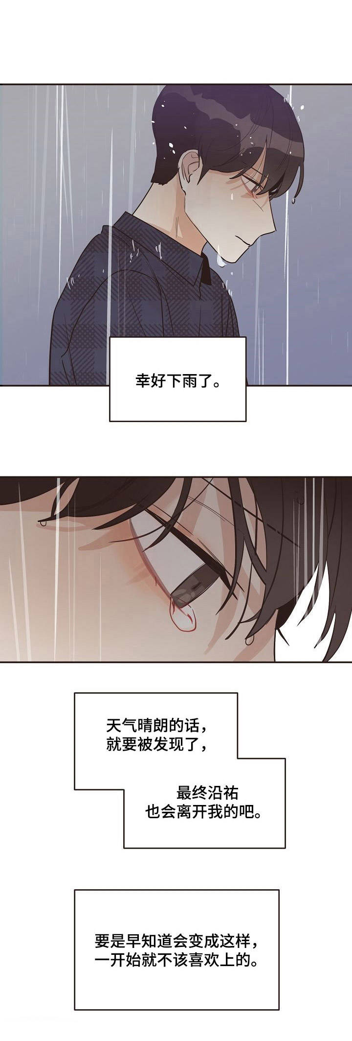 往日之花月季地栽漫画,第33章：雨水4图