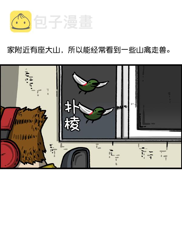 更新最快的语音软件漫画,[第1224话] 不认识的鸟3图