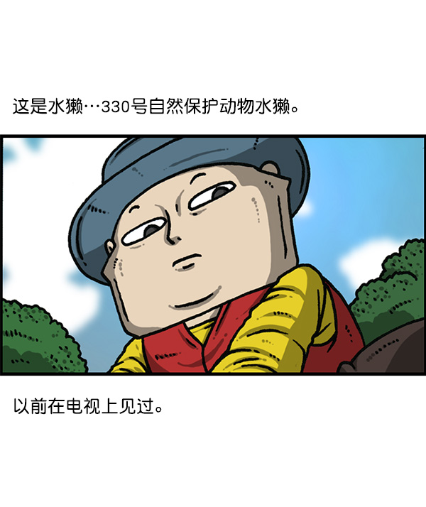 心灵的声音合集漫画,[第1168话]自然保护动物4图