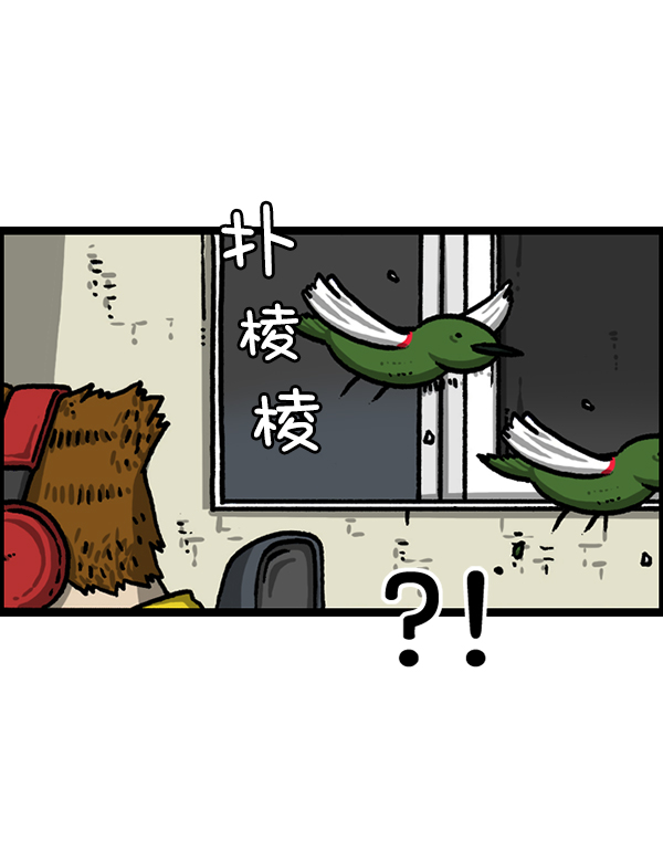 更新最快的语音软件漫画,[第1224话] 不认识的鸟4图