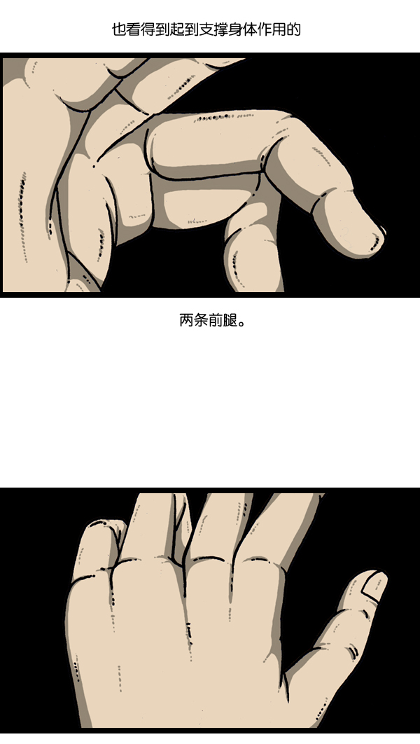 更新最快的语音软件漫画,[第903话] 神秘动物综述32图