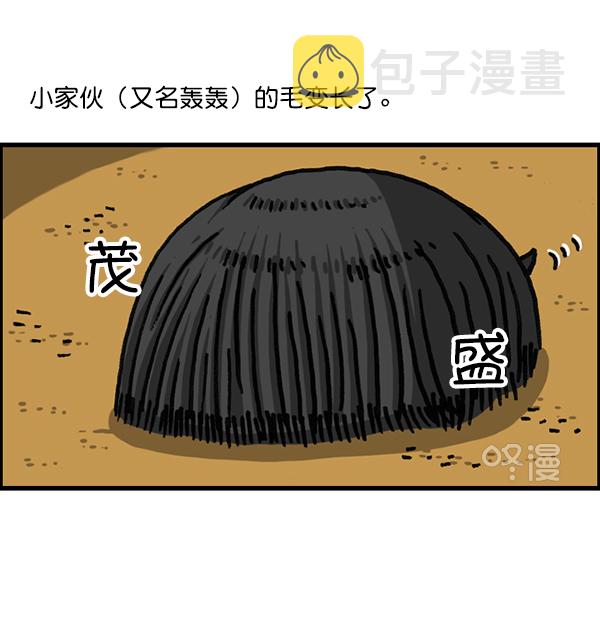 更新最快的语音软件漫画,[第1174话] 假发冒险记2图