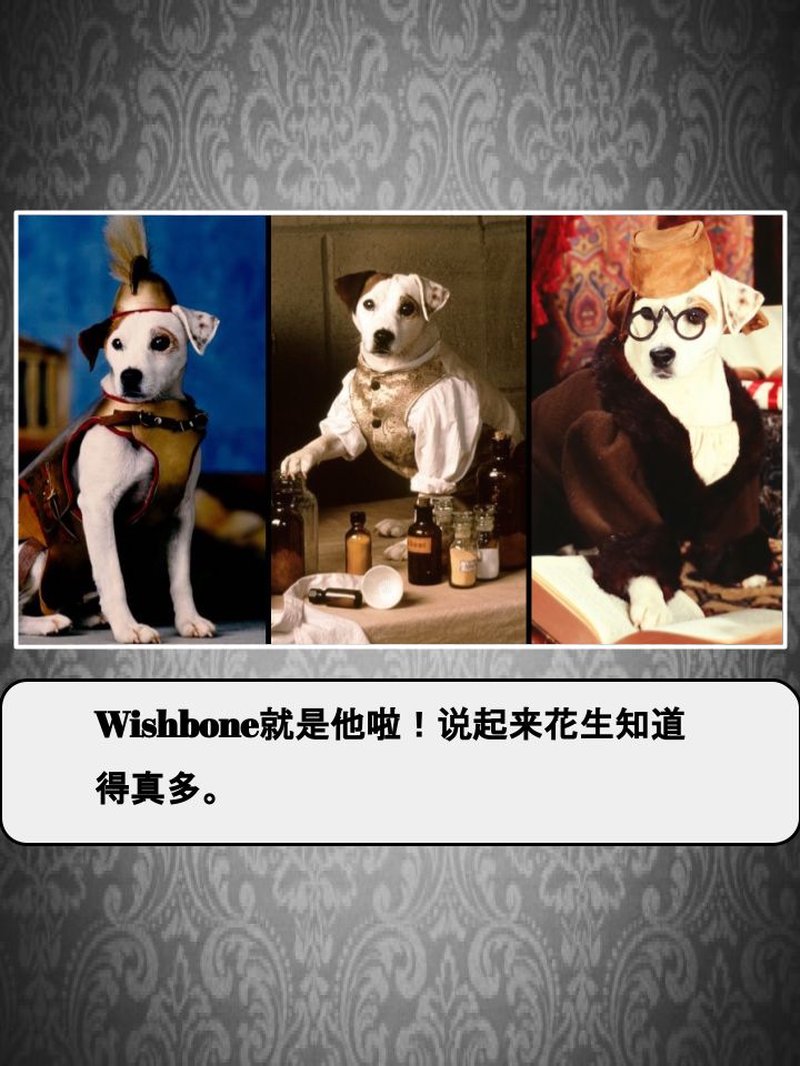 Housepets!漫画,第1028话3图