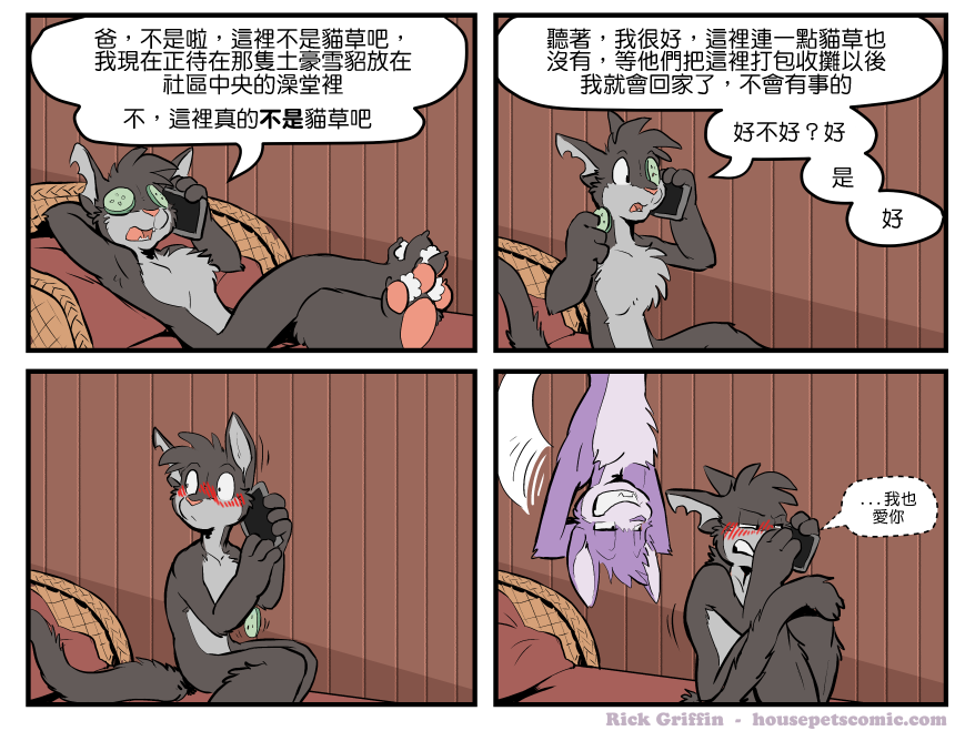 Housepets!漫画,第1496话1图