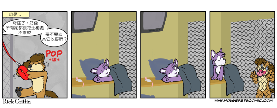 Housepets!漫画,第502话1图