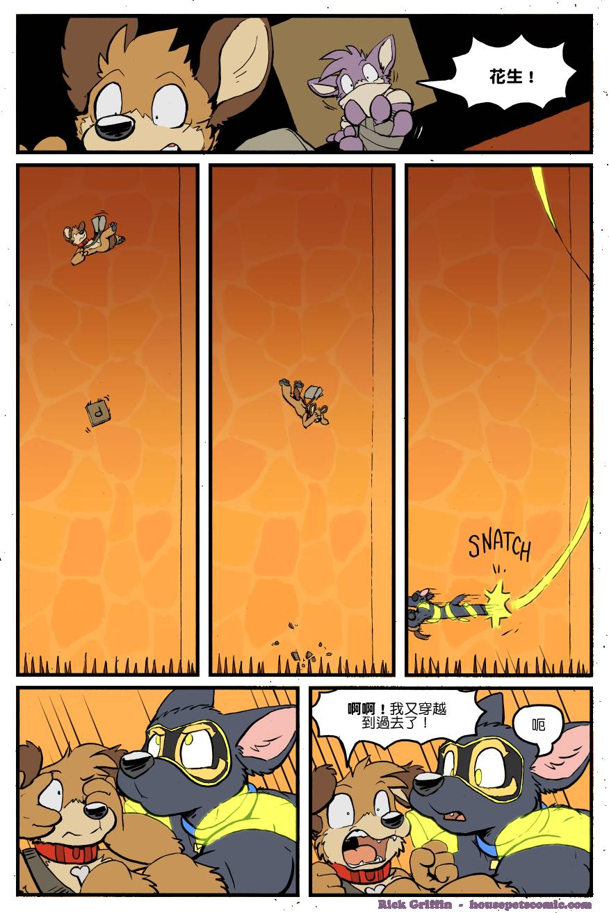 Housepets!漫画,第1302话1图