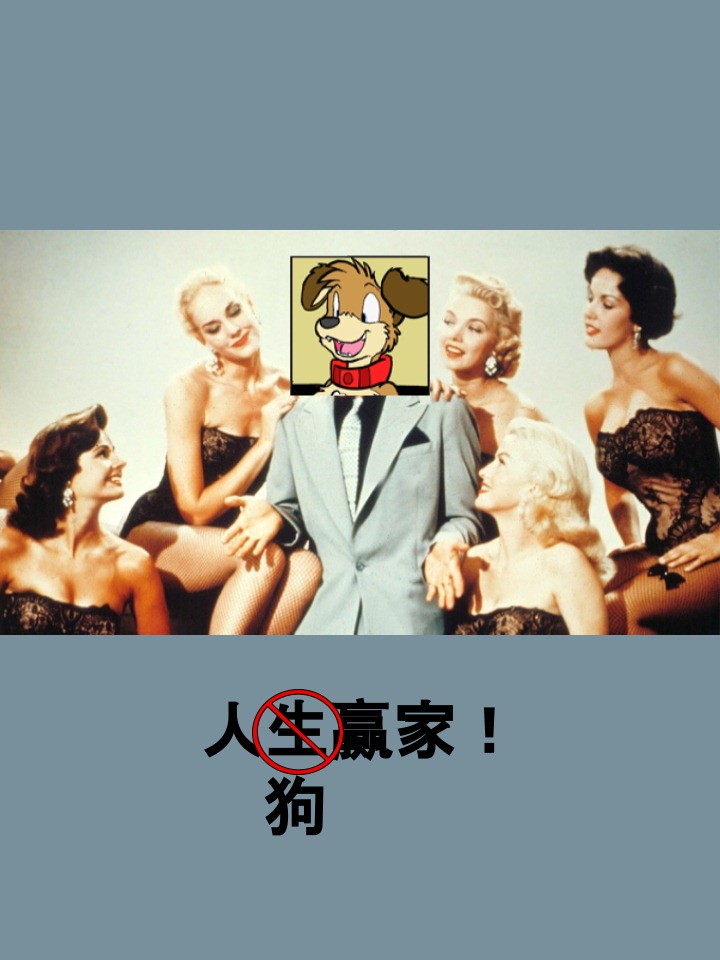 Housepets!漫画,第577话3图