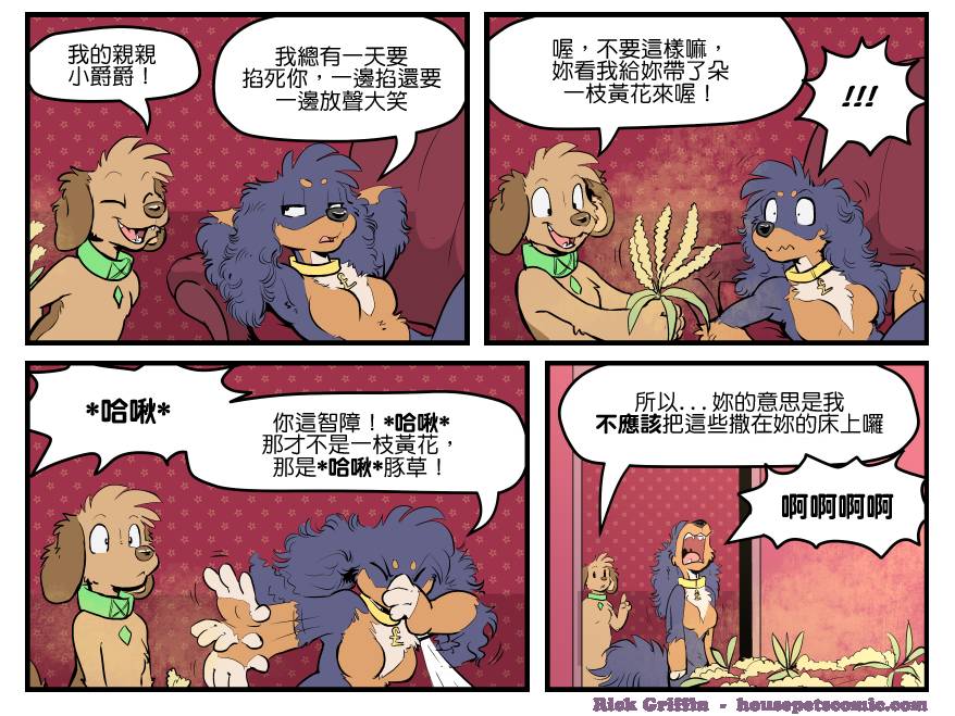 Housepets!漫画,第1537话1图