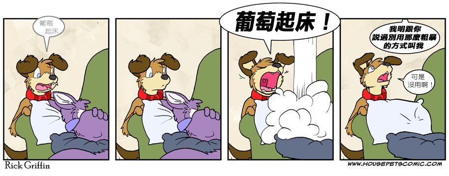 Housepets!漫画,第562话1图