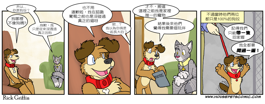 Housepets!漫画,第501话1图