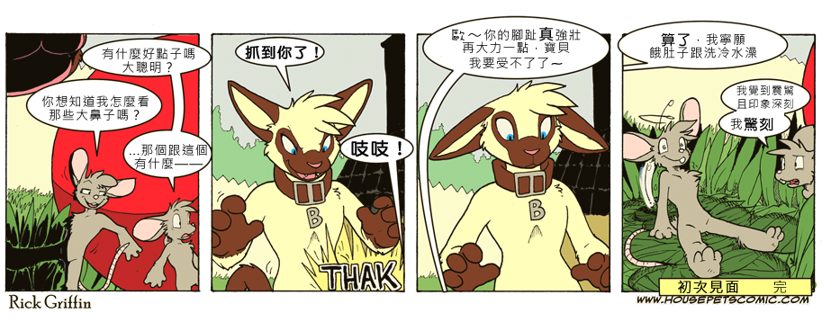 Housepets!漫画,第708话1图