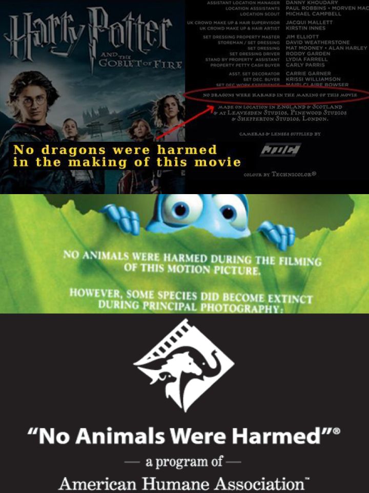 Housepets!漫画,第339话3图