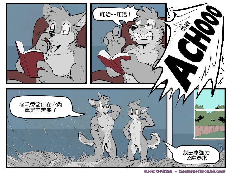 Housepets!漫画,第1664话1图