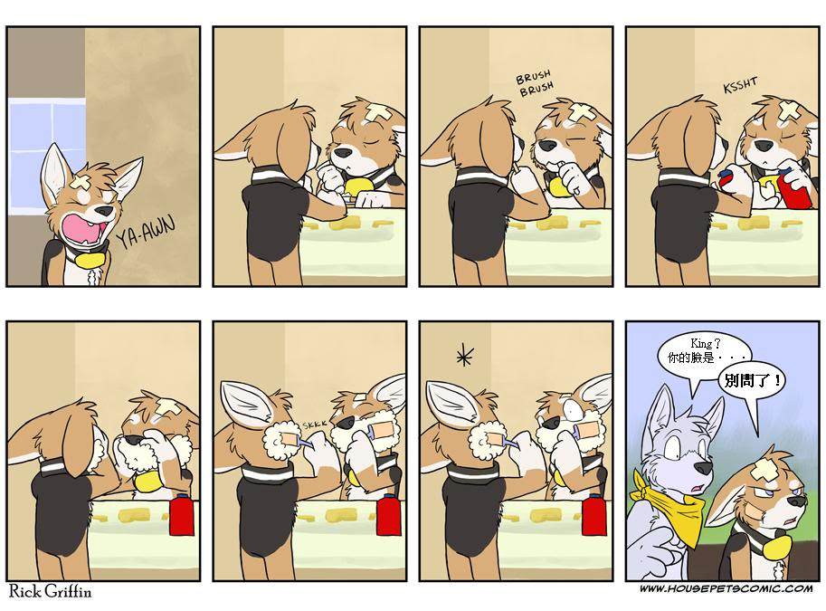 Housepets!漫画,第295话1图