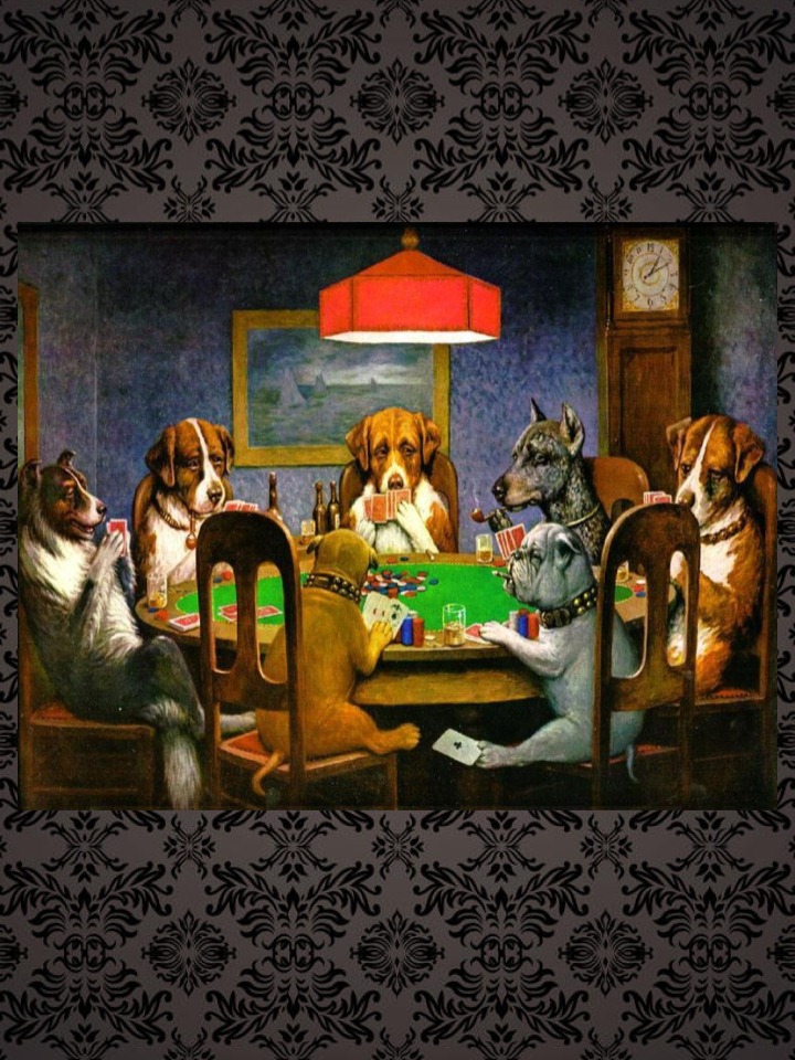 Housepets!漫画,第579话3图