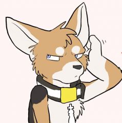 Housepets!漫画,彩页022图