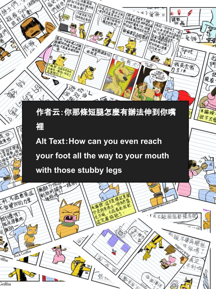 Housepets!漫画,第628话2图