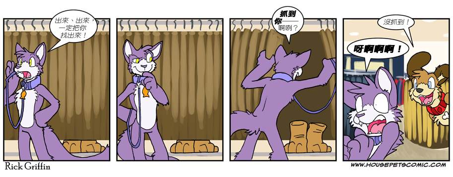 Housepets!漫画,第547话1图