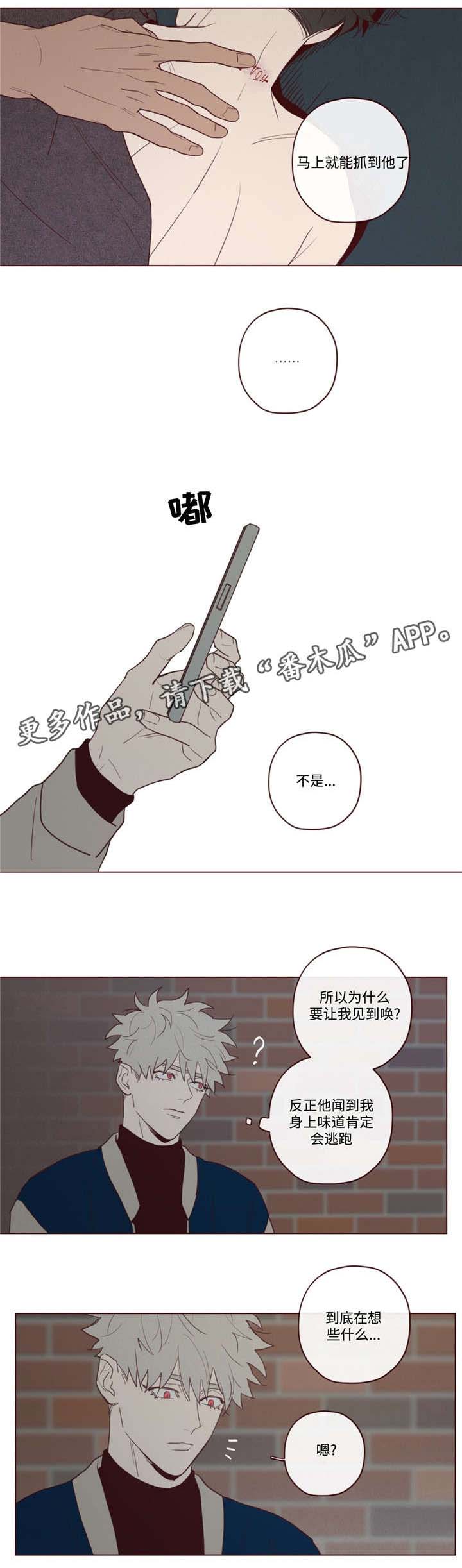 山鬼花钱怎样才灵漫画,第30章：醉1图