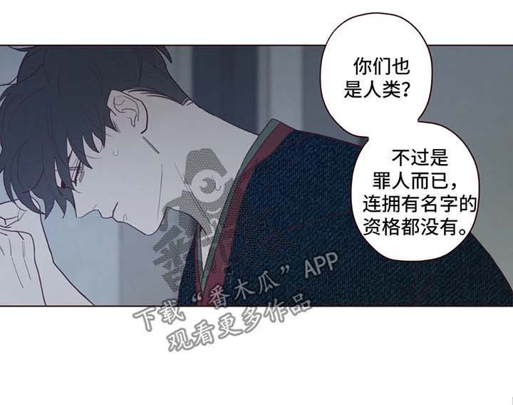 山鬼花钱谁家的比较灵漫画,第65章：危险与安全2图
