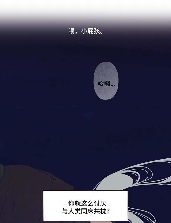 武当山山鬼吊坠灵不灵漫画,第66章：有话说1图