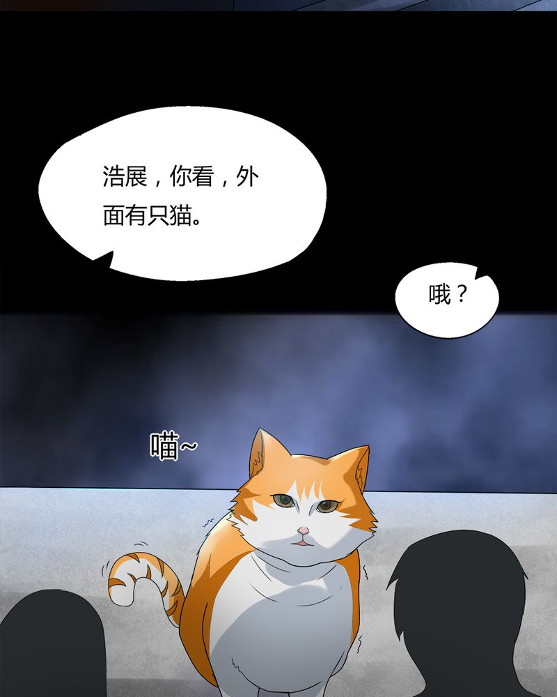 诡中有诡漫画,第68章：茹猫饮血（上）4图