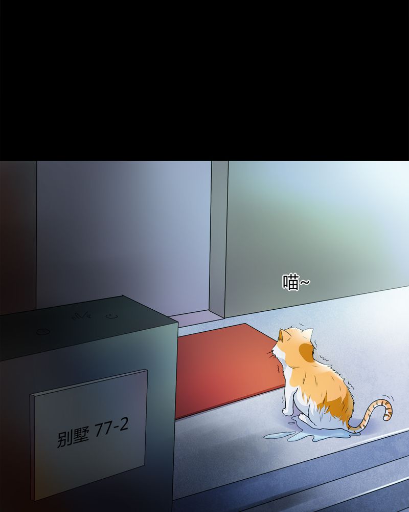 诡中有诡漫画,第68章：茹猫饮血（上）3图