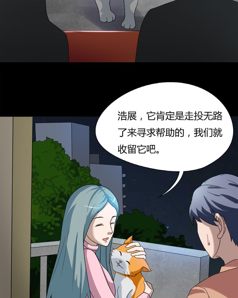 诡中有诡漫画,第68章：茹猫饮血（上）5图