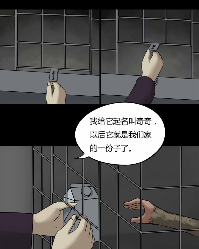 诡中有诡漫画,第84章：猴知猴觉（上）5图