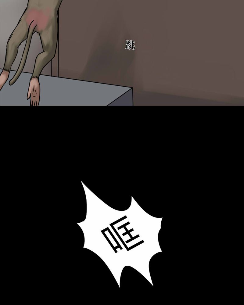 诡中有诡漫画,第85章：猴知猴觉（下）5图