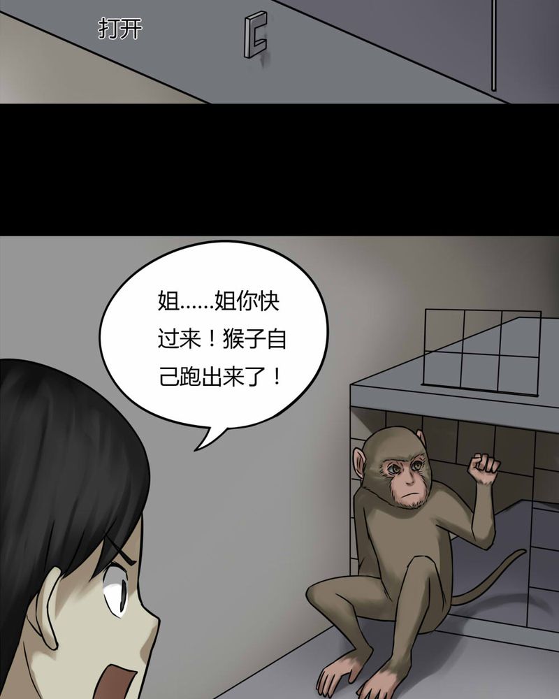 诡中有诡漫画,第85章：猴知猴觉（下）3图